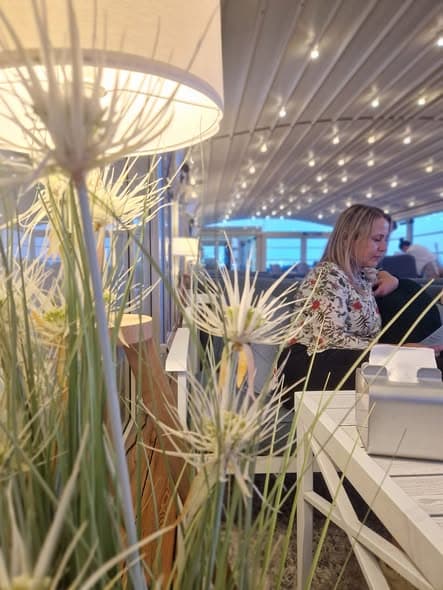 Middag på takterrass